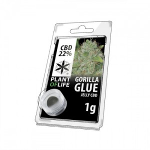 Gorilla Glue ζελέ CBD 22%
