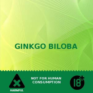 GINKGO BILOBA GINKGO BILOBA