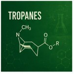 Produse chimice pentru cercetare Tropanes