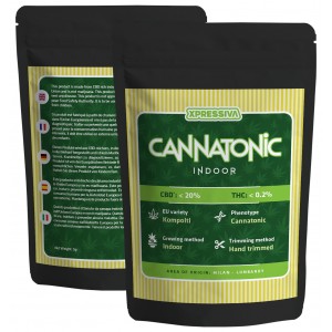 CBD Flower