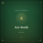 Ace Seeds Ace Seeds