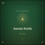 Anesia Seeds Anesia Seeds