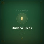 Buddha Seeds Buddha Seeds