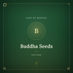 Buddha Seeds Buddha Seeds