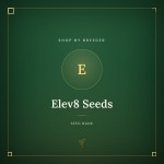 Elev8 Seeds Elev8 Seeds