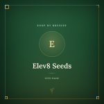 Elev8 Seeds Elev8 Seeds