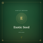 Exotic Seed Exotic Seed