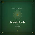 Female Seeds Female Seeds