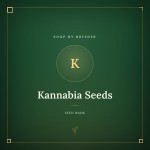 Kannabia Seeds Kannabia Seeds