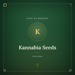 Kannabia Seeds Kannabia Seeds