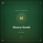 Mosca Seeds Mosca Seeds