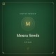 Semințe de Canabis Mosca Seeds Semințe de Canabis Mosca Seeds