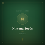 Nirvana Seeds Nirvana Seeds