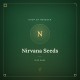 Nirvana Seeds Cannabisfrön Nirvana Seeds Cannabisfrön