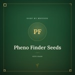 Pheno Finder Seeds Pheno Finder Seeds