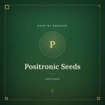 Positronic Seeds Positronic Seeds