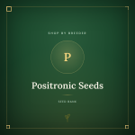 Positronic Seeds Positronic Seeds