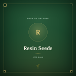 Resin Seeds Resin Seeds