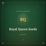Royal Queen Seeds Royal Queen Seeds