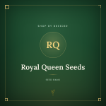 Royal Queen Seeds Royal Queen Seeds