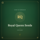 Royal Queen Seeds Cannabisfrø Royal Queen Seeds Cannabisfrø