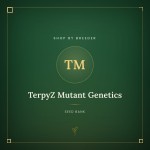 TerpyZ Mutant Genetics TerpyZ Mutant Genetics