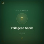 Trilogene Seeds Trilogene Seeds