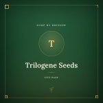 Trilogene Seeds Trilogene Seeds