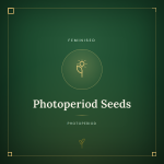 Feminisierte Photoperiode Samen