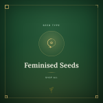 Feminizované Semená Feminizované Semená