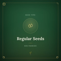 Regular Seeds