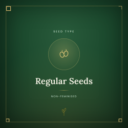 Regular Seeds