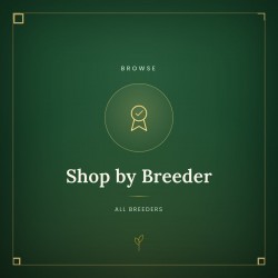 Shop by Breeder