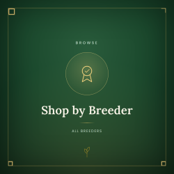 Shop by Breeder