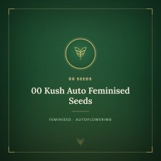 00 Kush Auto Feminised Seeds 00 Kush Auto Feminised Seeds