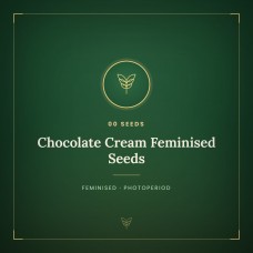 Chocolate Cream Feminised Seeds Chocolate Cream Feminised Seeds