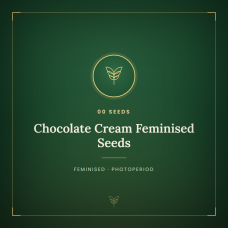 Chocolate Cream Feminised Seeds Chocolate Cream Feminised Seeds
