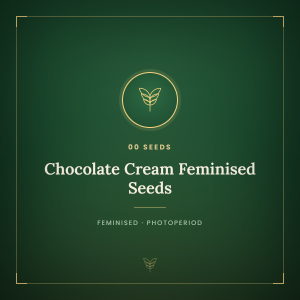 Chocolate Cream Feminised Seeds Chocolate Cream Feminised Seeds