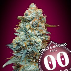 Sweet Somango FAST Feminised Seeds Sweet Somango FAST Feminised Seeds