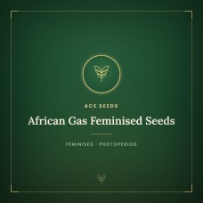 African Gas Feminised Seeds African Gas Feminised Seeds