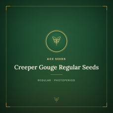Creeper Gouge Regular Seeds Creeper Gouge Regular Seeds