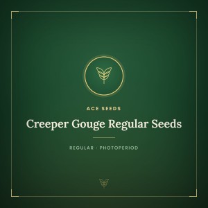 Creeper Gouge Regular Seeds