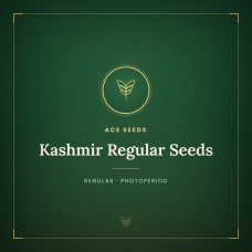 Kashmir Regular Seeds