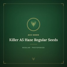 Killer A5 Haze Regular Seeds