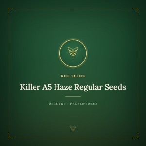 Killer A5 Haze Regular Seeds
