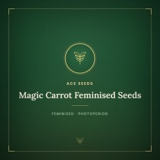 Magic Carrot Feminised Seeds