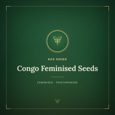 Congo Feminised Seeds Congo Feminised Seeds