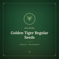 Golden Tiger Regular Seeds