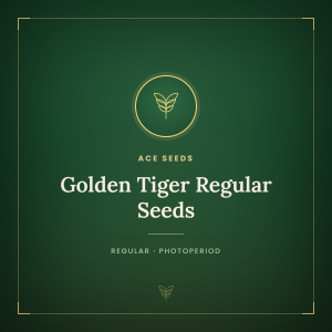 Golden Tiger Regular Seeds Golden Tiger Regular Seeds