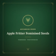 Apple Fritter Feminised Seeds Apple Fritter Feminised Seeds